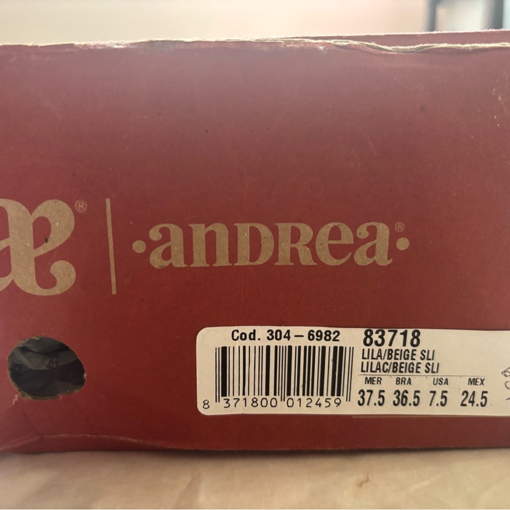 Andrea Lilac and Beige Shoes
